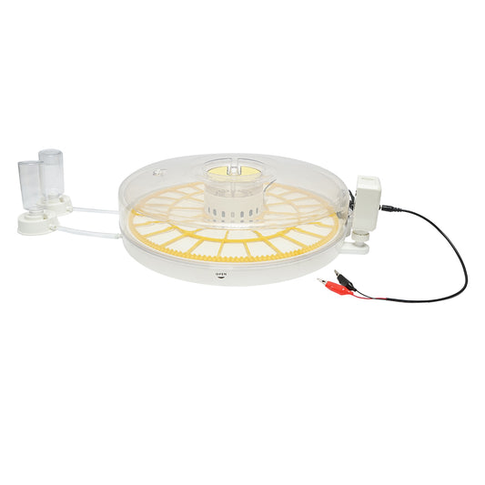 Automatikus inkubátor 35 tojás 70W, 12V-220V, automatikus forgatással, hőmérséklet-szabályozással, páratartalom szabályozással, digitális kijelzővel.