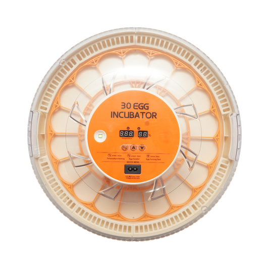 Automatikus keltetőgép 30 tojás digitális kijelzővel, hőmérséklet, páratartalom szabályozással