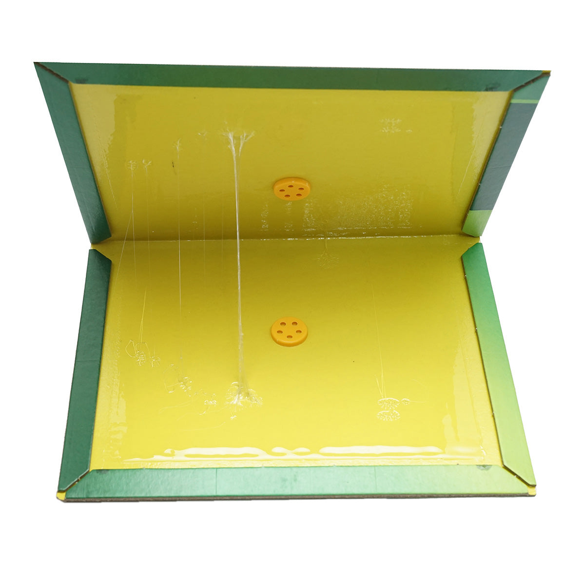 Egércsapda kártya ragasztóval 310x210mm 80g