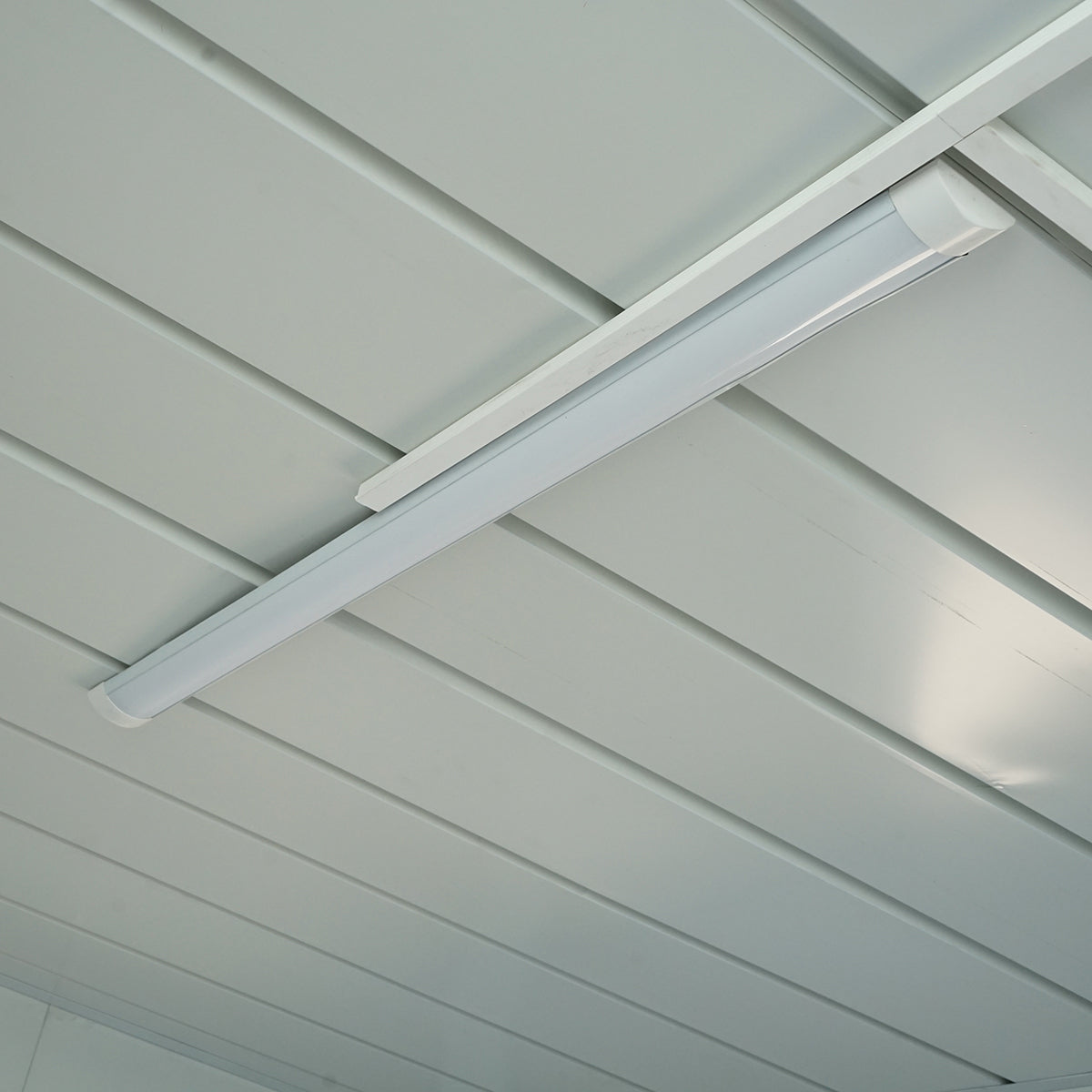 Konténerház 600x300x290cm-es típus, 2 ablakkal, egyszerű ajtóval és elektromos szereléssel.