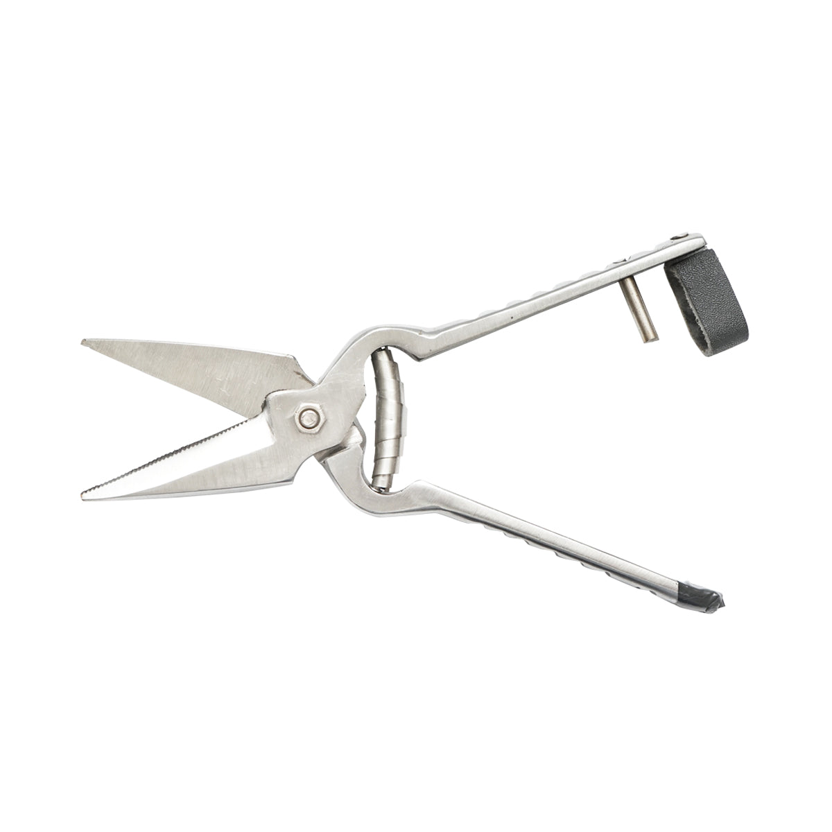 Fogazott gérvágó olló juhokhoz, kecskékhez 220mm Breckner Germany