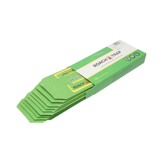 12 darabos ragasztócsapda készlet ragasztóval és csalival bogarak és rovarok számára 10x15cm