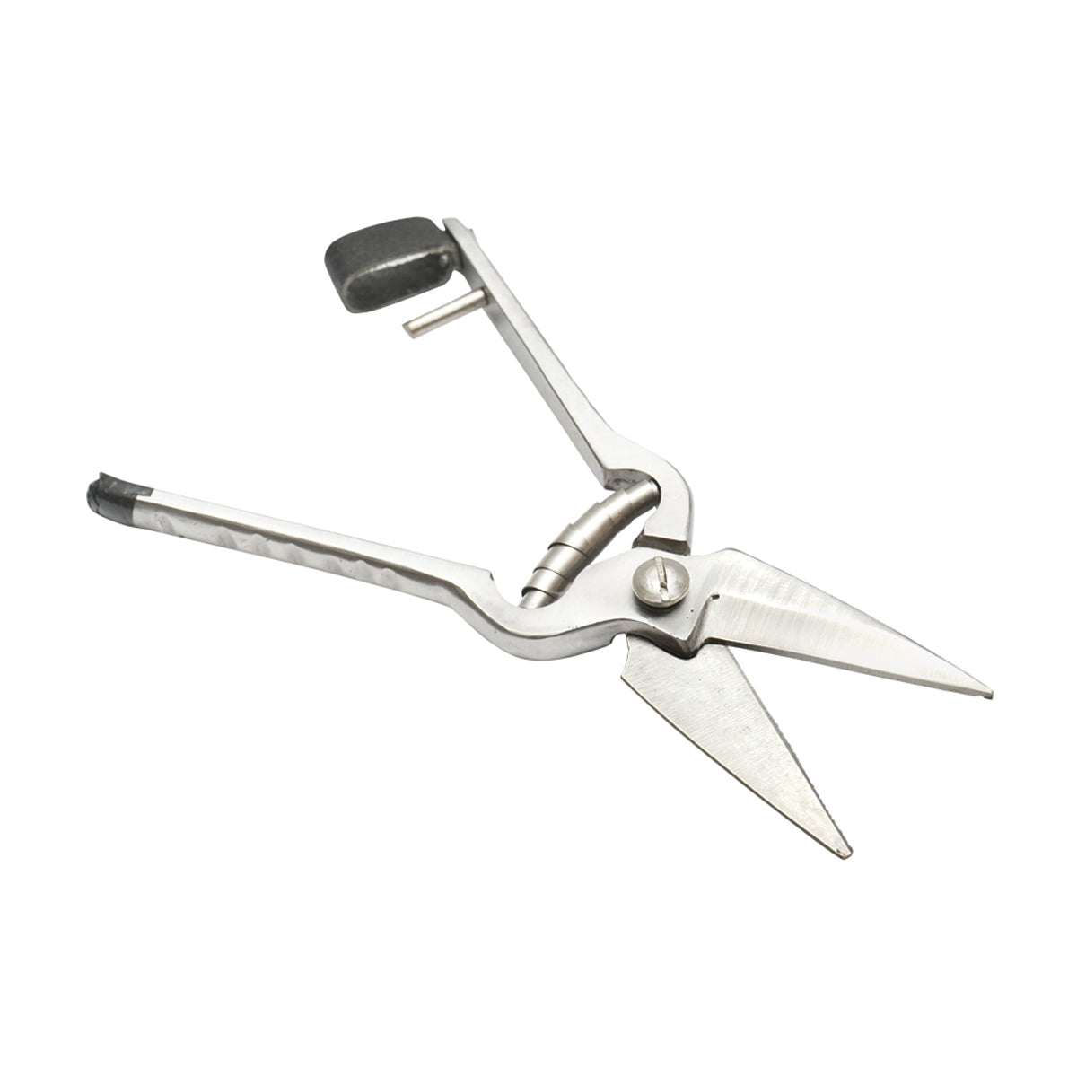 Fogazott gérvágó olló juhokhoz, kecskékhez 220mm Breckner Germany