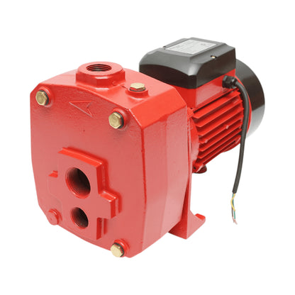 Önfelszívó felszíni vízszivattyú ejektorral 1,1 kW, 220 V, áramlási sebesség 100 l/perc, H38 m DP505 Breckner Germany